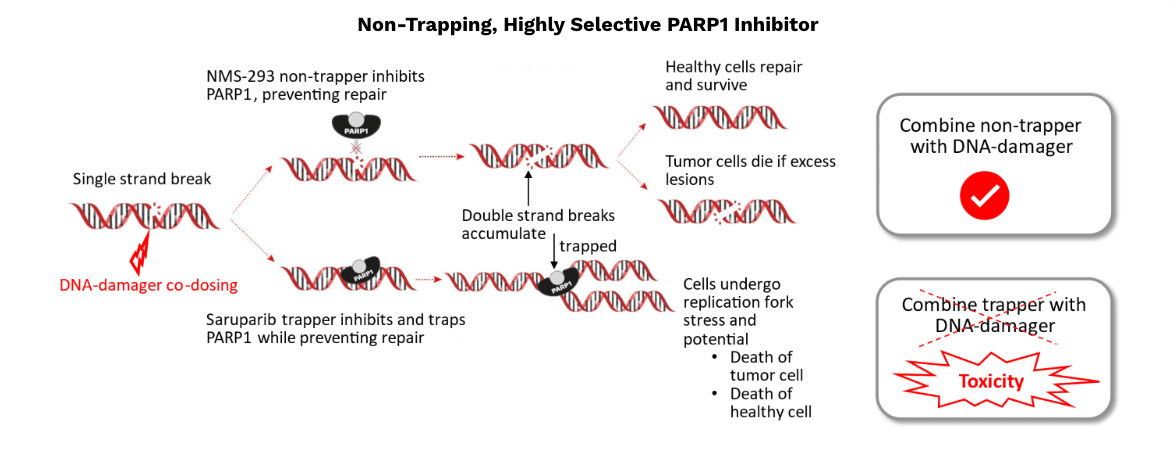 NMS-293 - clinical stage inhibitor